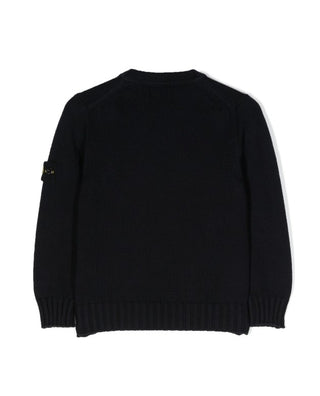 Stone Island Crewneck Sweater 7916515A2