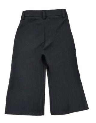 Alley Pantalone with pleats 3141P1119