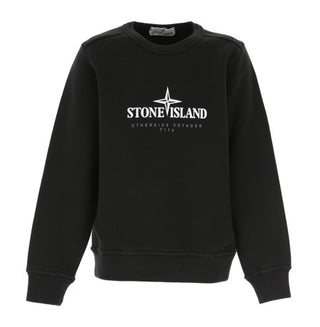 Bedrucktes Sweatshirt von Stone Island 711661840