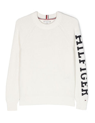 Tommy Hilfiger Crewneck Sweater with Logo KG0KG07480